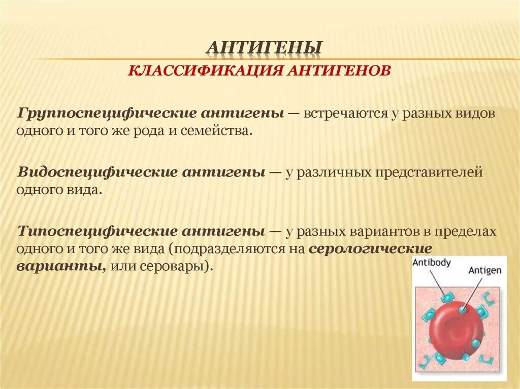 Выработка антигенов. Гетерологичные антигены. Классификация антигенов. Типо специфический антигены. Видоспецифические и типоспецифические антигены.