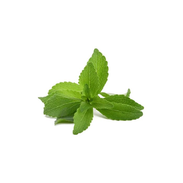 Stevia Leaf. Стевия листья. Стевия листик. Стевия ЗТП.