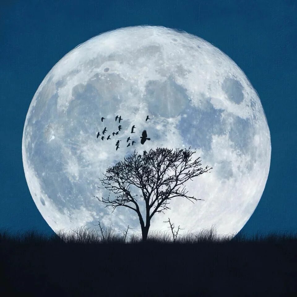 Картинки moon. Луна. Полнолуние. Красивая Луна. Луна полнолуние.