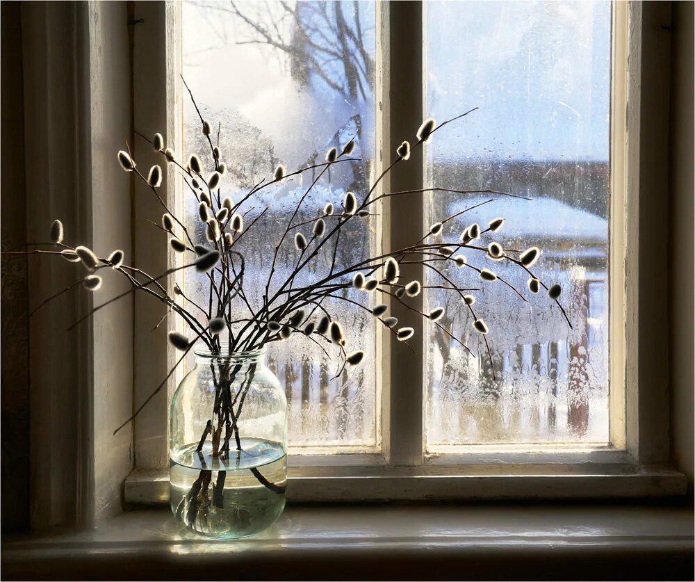 Зимнее окно. Окно с зимним пейзажем. Весенний вид из окна.