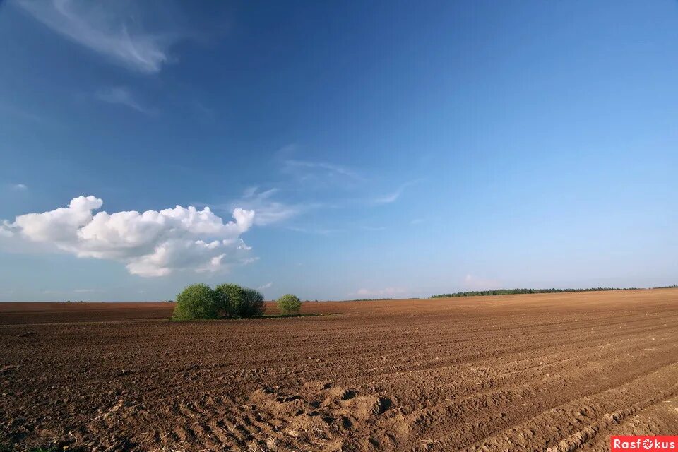 пшеничные поля пономаревка оренбургской области. вспаханная земля. кулундинская степь алтайский край. %пашни луга и пастбища в японии. кулундинская равнина.