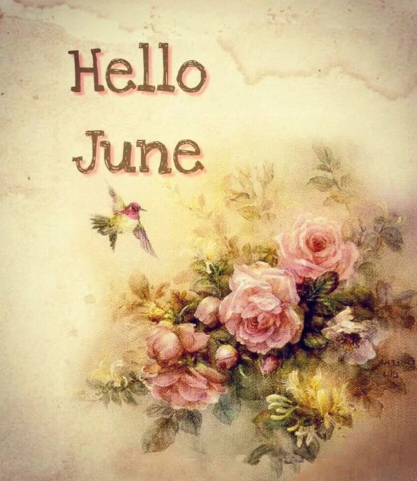 Картины hello. Hello June. Hello June картинка. Hello июнь. Hello июль.