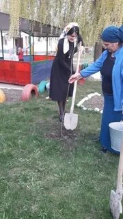 Погода беркат юрт