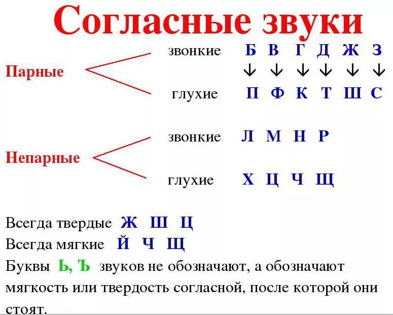 Парные звонкие и глухие таблица. Парные глухие и звонкие буквы. Парные непарные буквы в русском языке таблица. Таблица парных и непарных согласных звуков.