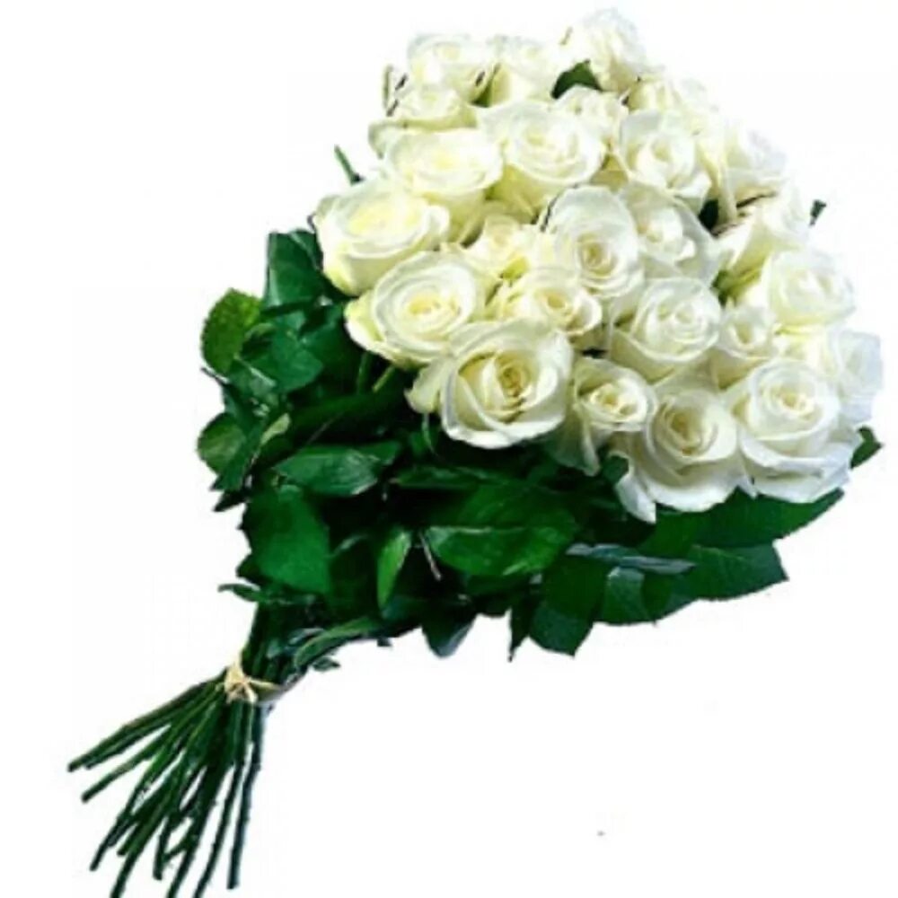 Сон белые розы букет. 25 Белых роз Аваланш. Красивый букет белых роз. Шикарный букет белых роз. Красивый букет из белых роз.