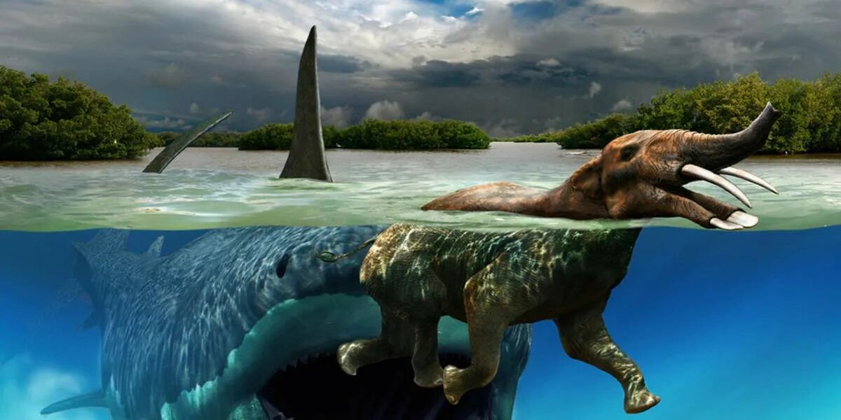 Динозавры морские МЕГАЛОДОН. Мозазавр мир Юрского периода. МЕГАЛОДОН палеоарт. МЕГАЛОДОН морские динозавры морские.