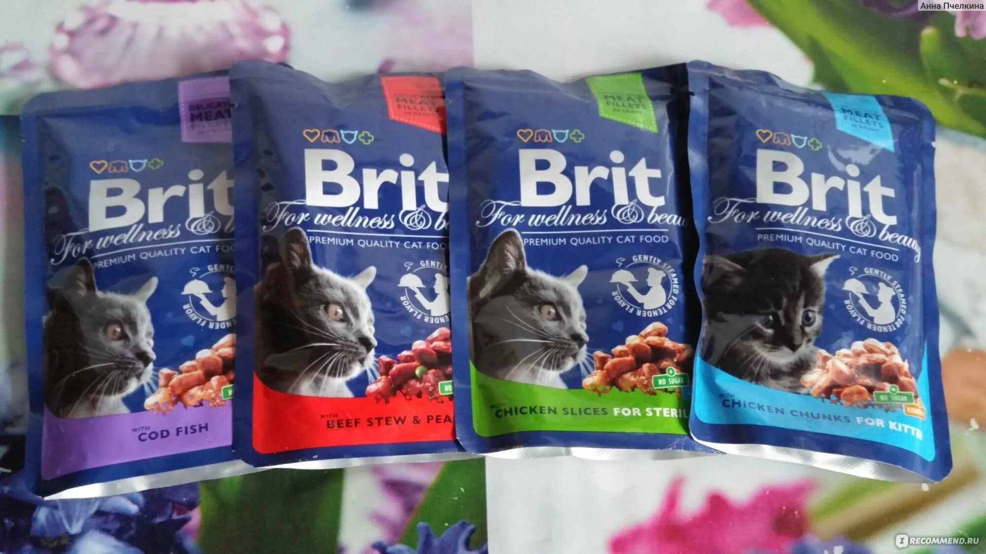 Brit Premium для котят. Брит паучи для кошек. Brit Premium для кошек состав. Brit Premium для кошек состав сухой. Сухой корм брит отзывы