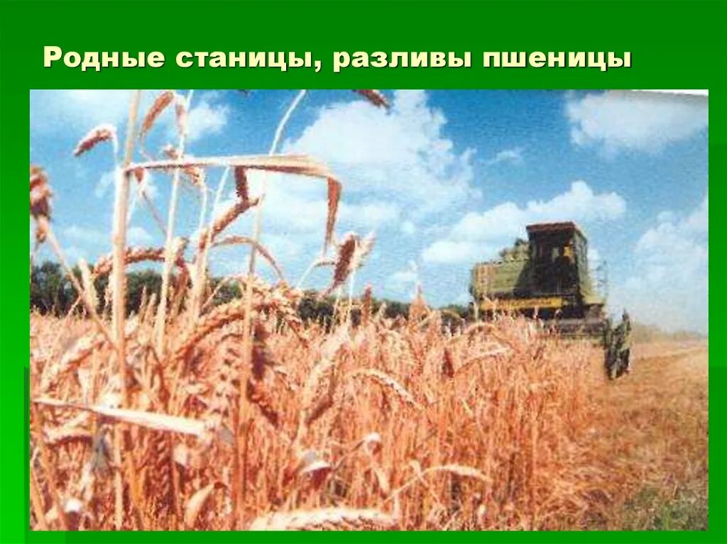 Земля отцов моя земля 4 класс. Проект на тему земля отцов моя земля. проект моя земля по кубановедению. земля отцов моя земля кубановедение проект. проект по кубановедению на тему земля отцов моя земля.