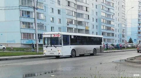 Автобус 39 2024 год