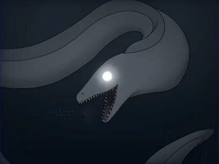 Scp 3000