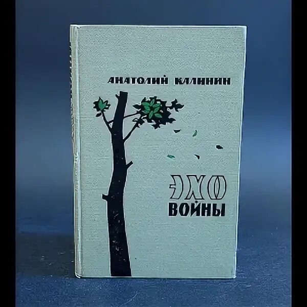 Калинин эхо войны. Эхо войны Калинин. Калинин Эхо войны книга. Эхо войны книгу обложку. Суровое поле Калинин.