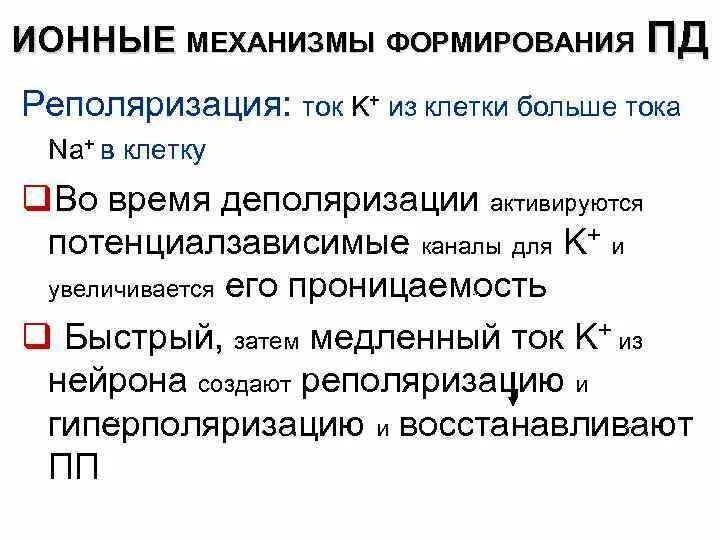 Ионные механизмы возникновения потенциала действия. Ионный механизм физиология. Механизм формирования потенциала действия. Ионный механизм физиология. Механизм потенциала действия физиология.