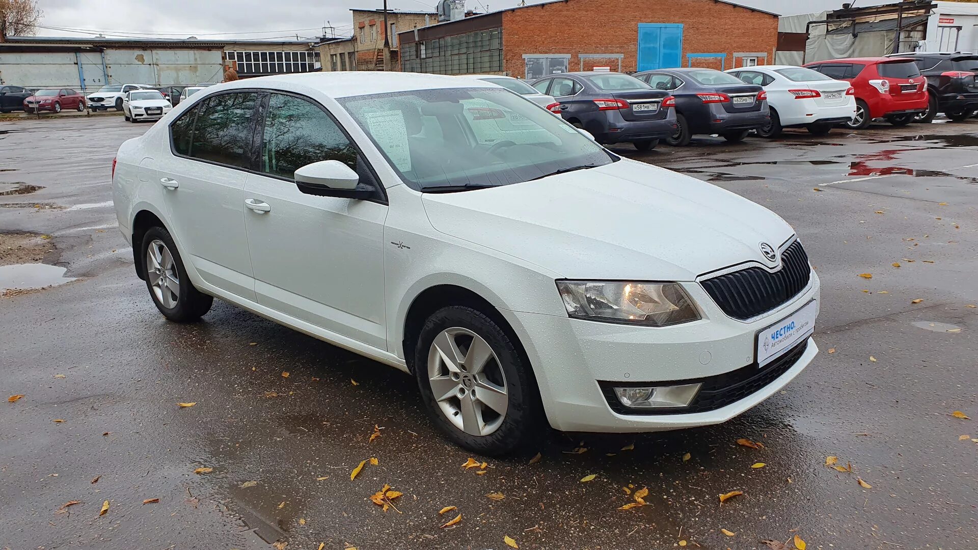 Skoda Octavia, 2016 г.. Skoda Octavia 2016 белая. Купить октавию 2016