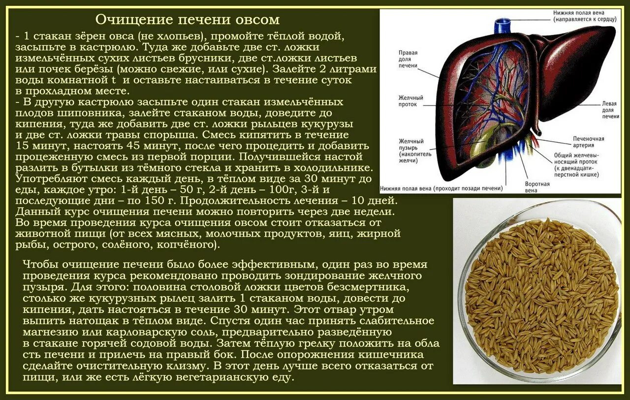 Можно ли пить овес при удаленном желчном. Питание при застое желчи в желчном. Диета при застое желчи в желчном пузыре. Можно ли пить овес при удаленном желчном. Отвар овса для желудка и кишечника.
