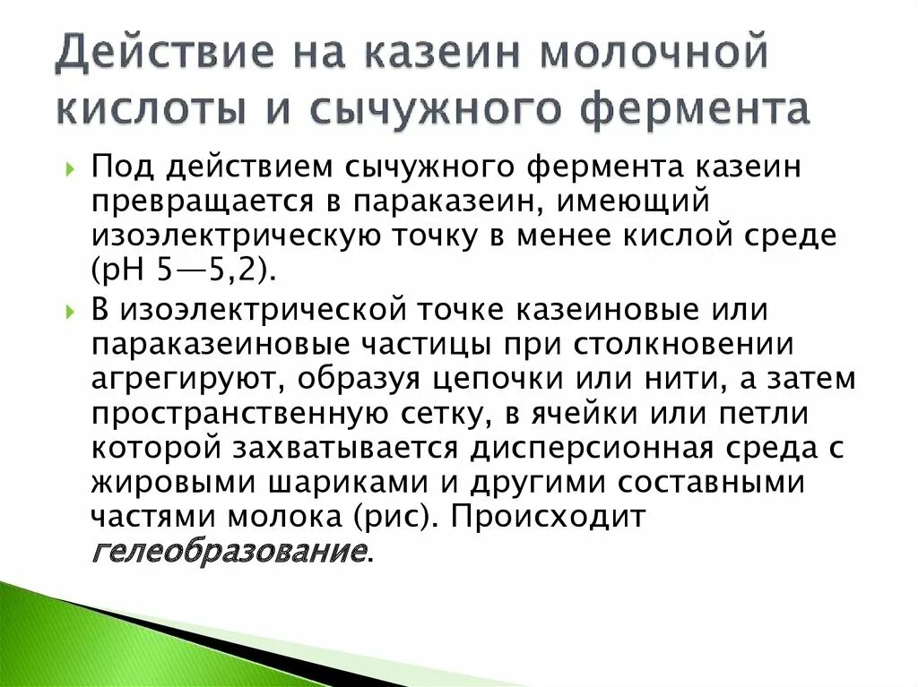 Сычужный фермент. Животный сычужный фермент. Казеиноген биохимия. Сычужное свертывание. Действие сычужного фермента.