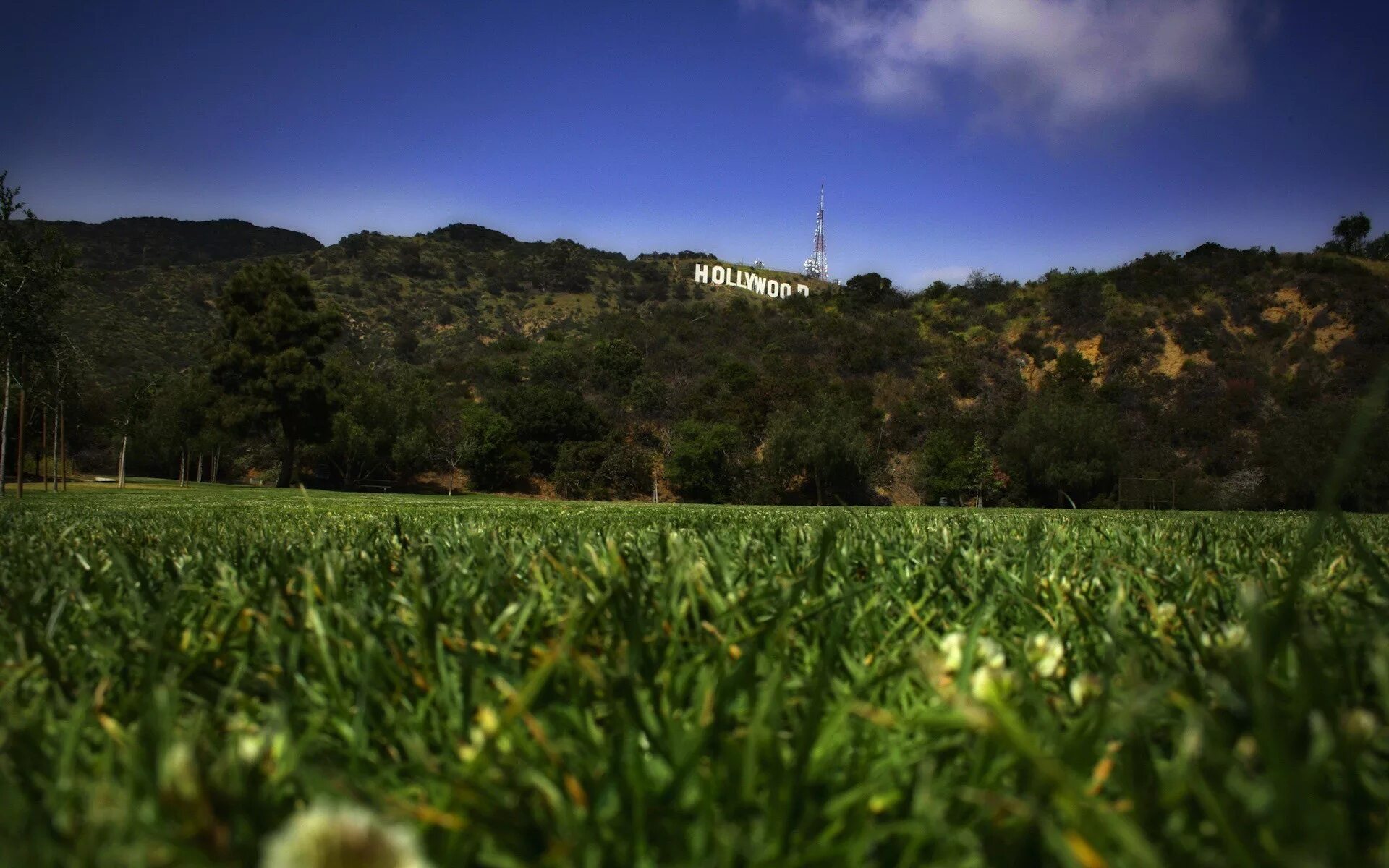 Обои на разрешение 1080 на 1080. Природа Лос Анджелеса. Зеленые холмы Лос Анджелес. Природа Голливуда. Панорама плантации.