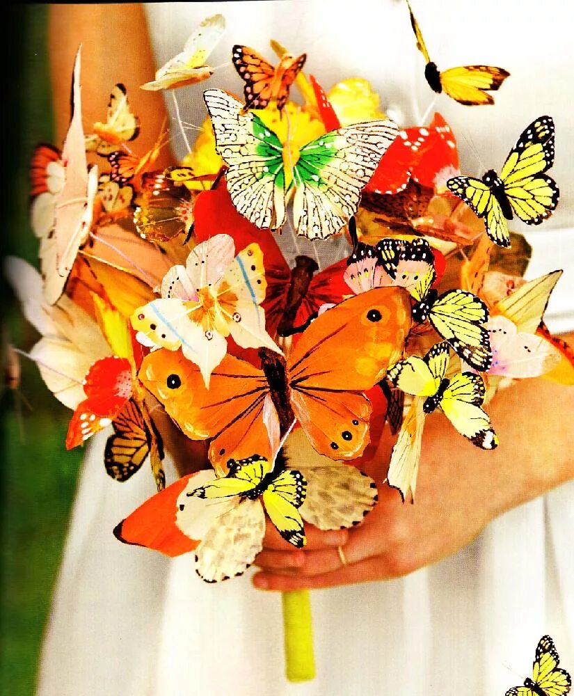 Букет из бабочек. Необычные букеты с бабочками. Букет из бабочек живых. Букет цветов с бабочками.