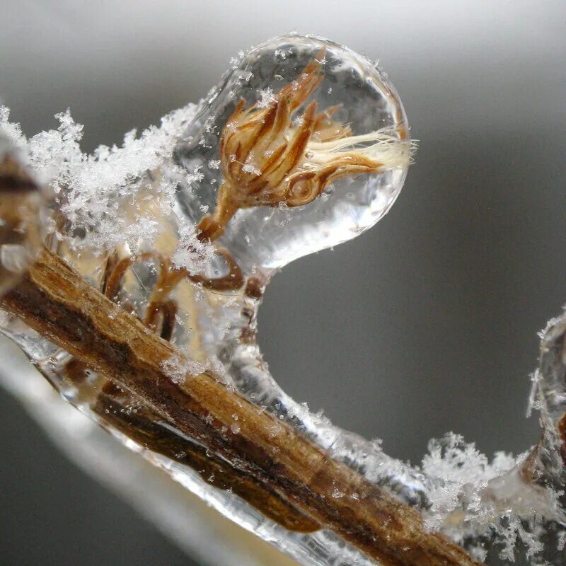 ледяная корка. после двух замерших. джек николсон сияние замерз. беременная женщина рожает. замерзшие 2010.