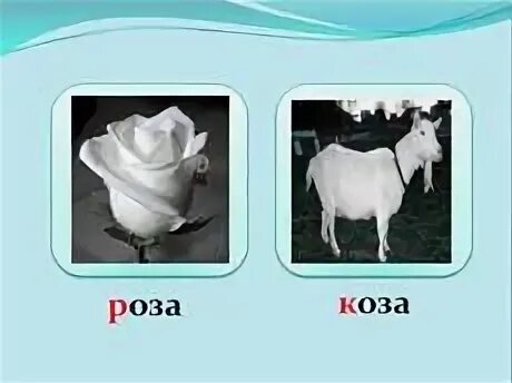 Козел картина. Коза папа. Козы розы. Розовая коза. Коза козёл козлёнок.