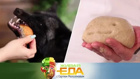 Живая еда 2024