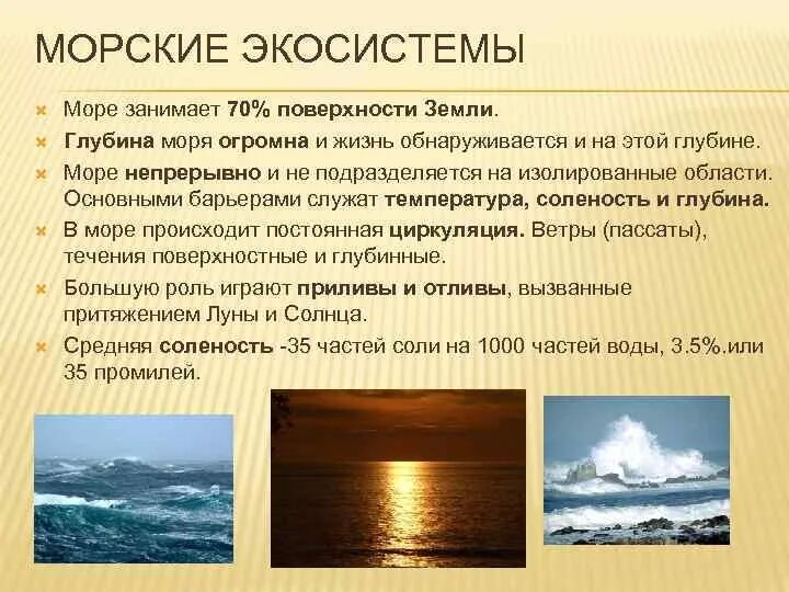 Особенности морских экосистем. Морские и Океанические экосистемы. Морские экосистемы кратко. Признаки морских экосистем. Климатические особенности океанов