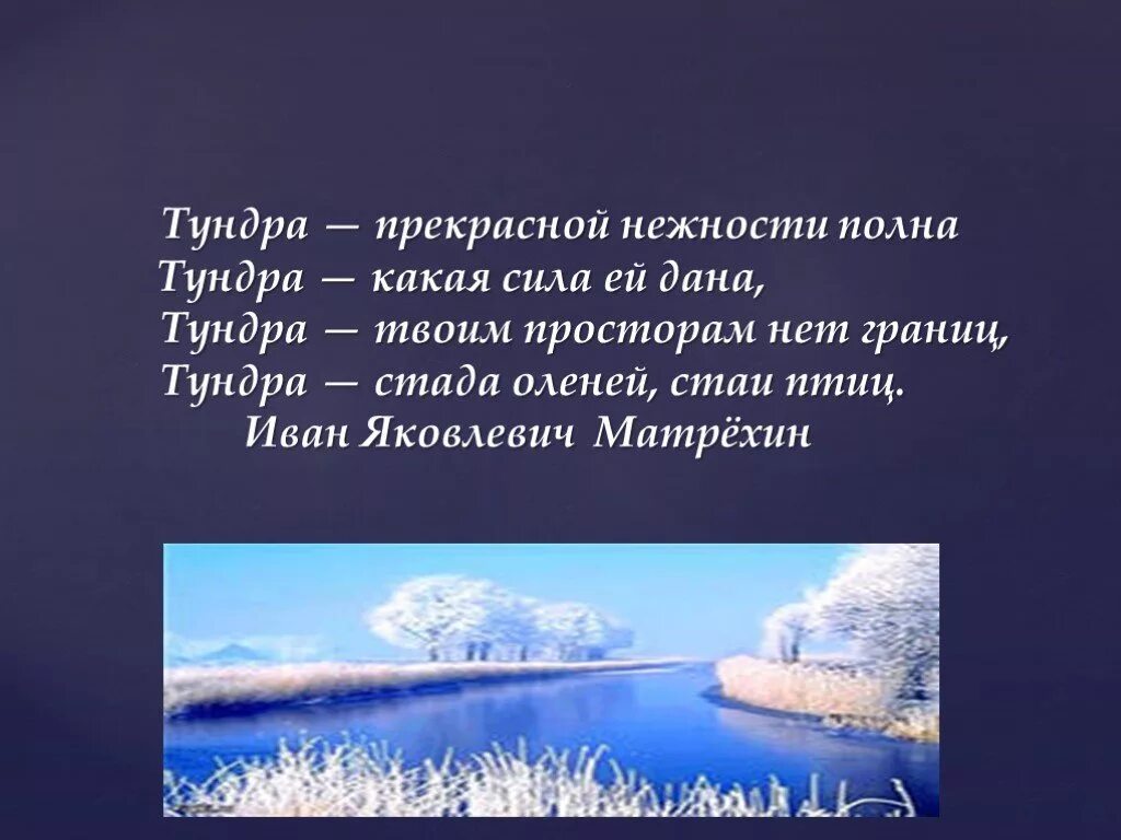 Верное высказывание о тундре