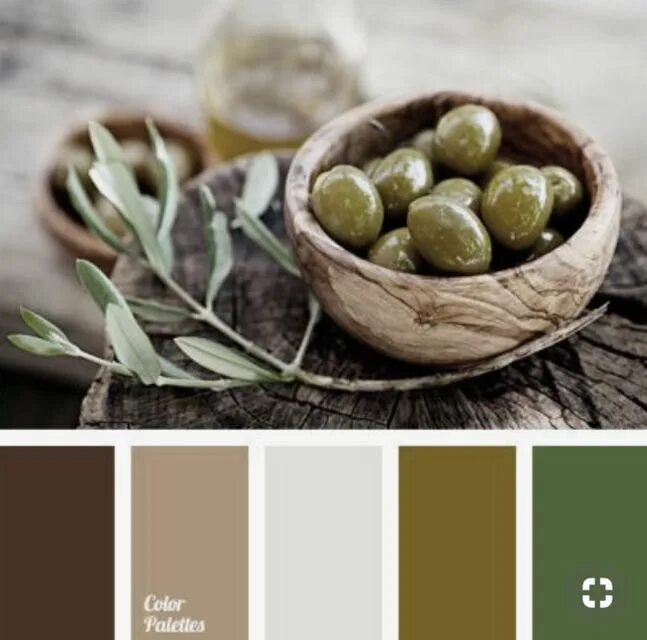 Палитра цветов оливкового цвета. Палитра Оливс цветовая олива. Ин колор баланс оливковый. Цветовая палитра зеленый коричневый. Цветовые сочетания с оливковым.
