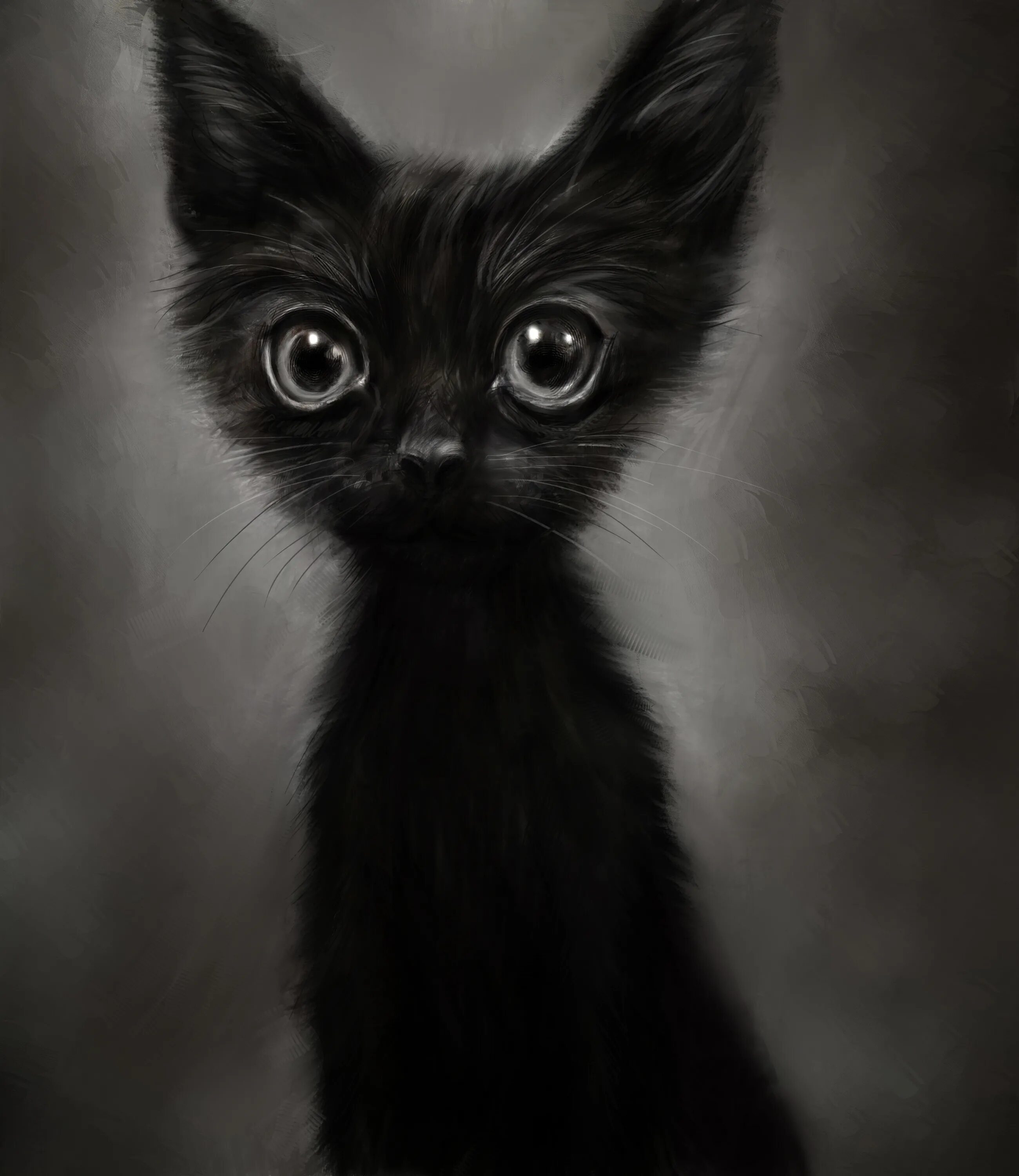 Черные большие рисунки. Черный котенок. Черная ава. Черный кот на аву. Черная аватарка.
