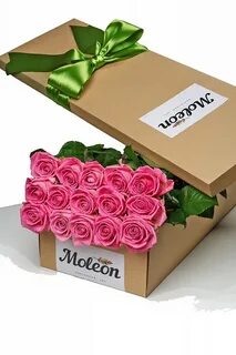 Rose premium