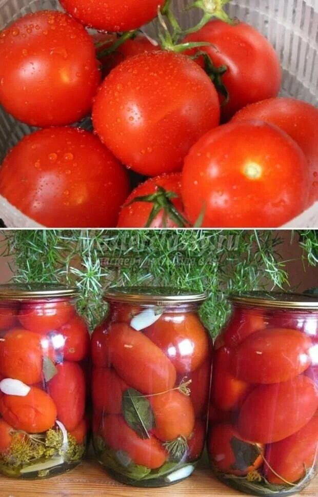 Помидоры маринованные сладкие на зиму очень вкусные. Помидоры на зиму. сладкие помидоры на зиму. помидоры маринованные сладкие. помидоры в литровых банках.
