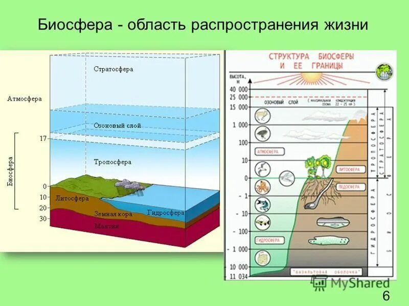 Прямой нагрев биосферы приводит к. Антропогенное влияние вывод. Верхняя граница биосферы по атмосфере проходит на высоте 22-24. 3. Границы биосферы в литосфере на суше проходят на глубине: 100 - 200 м;.