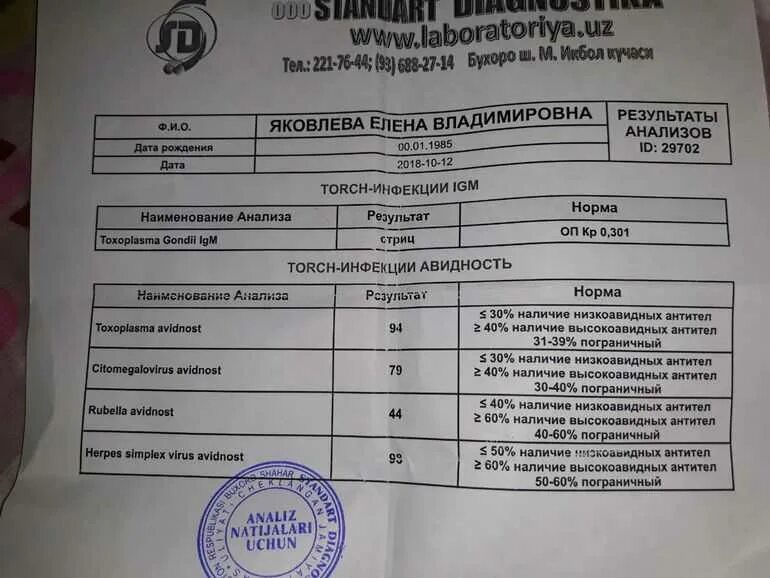 ИФА IGG cytomegalovirus (кровь). Антитела к ЦМВ расшифровка. Результат анализа на краснуху. Цитомегаловирус Результаты анализов. Иммуноглобулин цмв