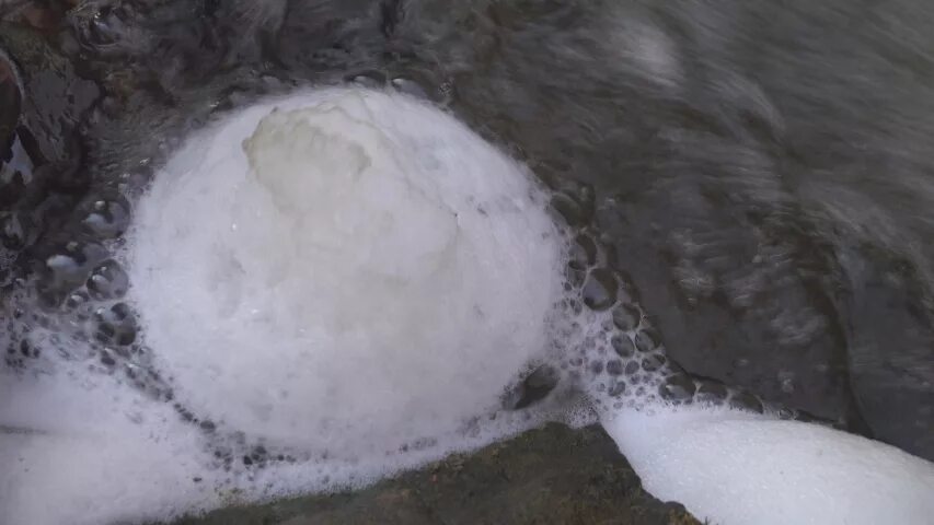 Грязная пена. Грязная пена на море. Грязная пена на воде. Пена мутная.