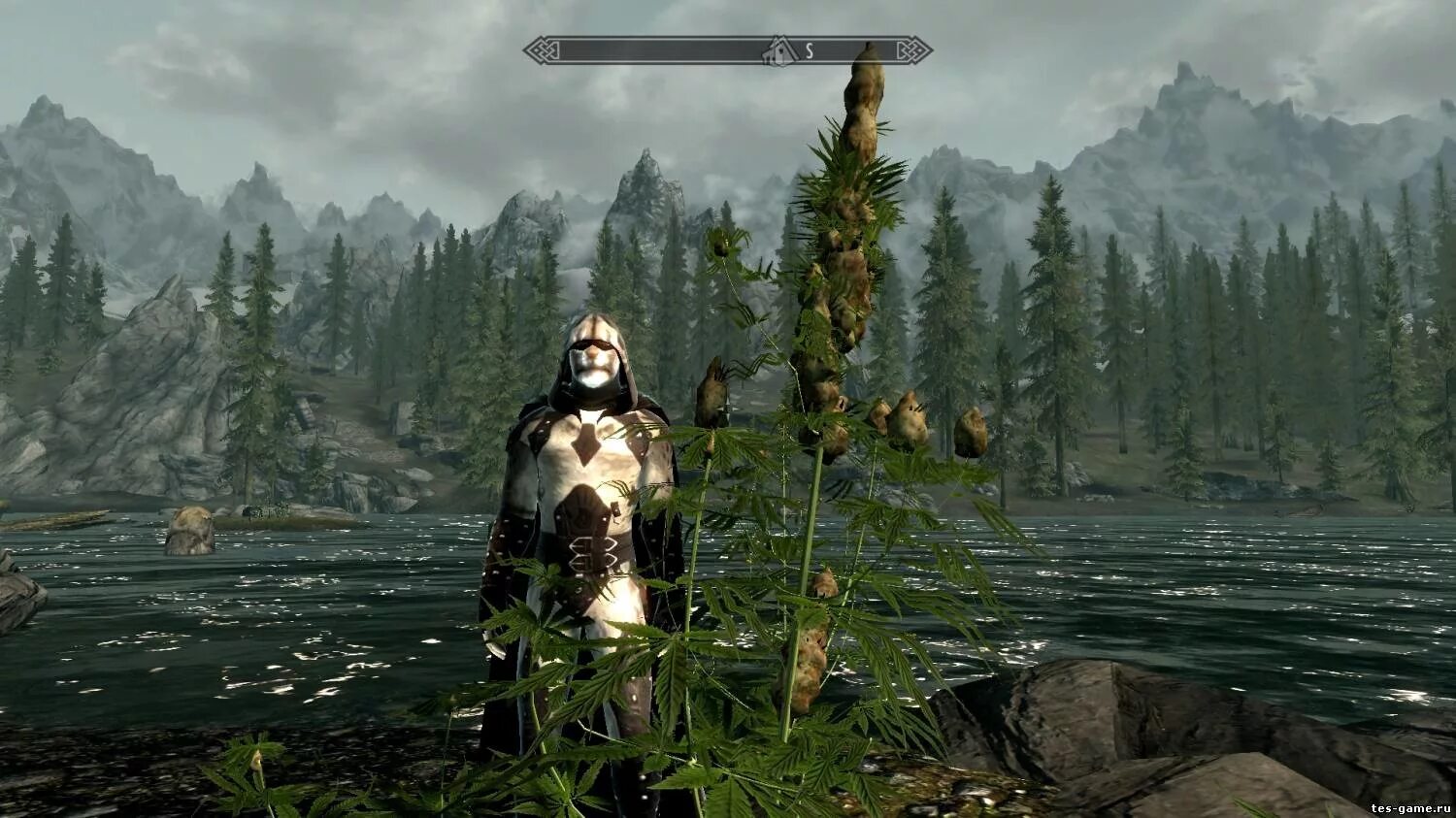 Tes читы. Tes 5: skyrim &quot;броня древних богов&quot;. броня каджита скайрим. скайрим мод каджитская броня. броня для каджитов скайрим.