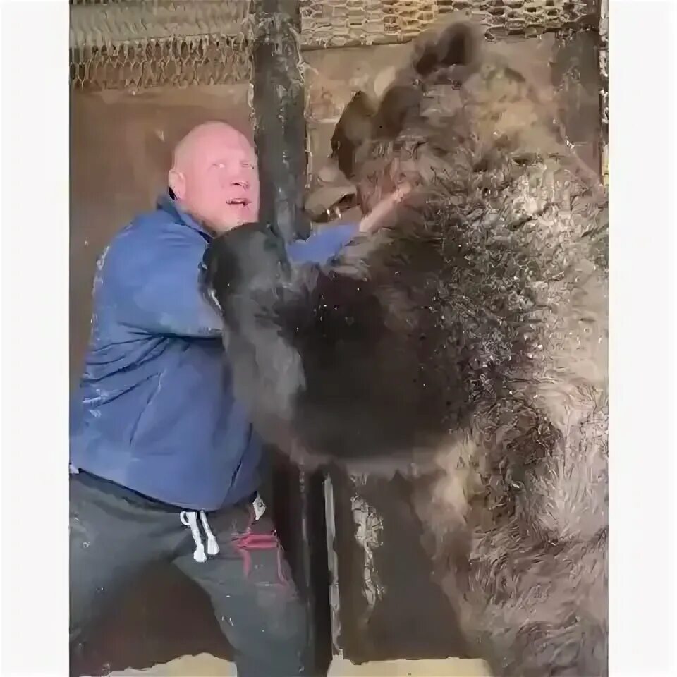 Реальная схватка. Человек борется с медведем.