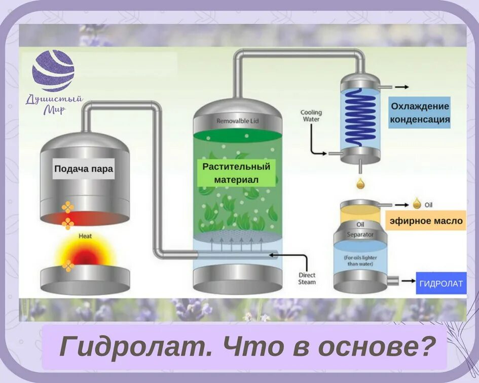 Аппарат для экстракции эфирных масел. Перегонка эфирных масел. Оборудование для гидролатов. Дистилляция эфирных масел. Паровая дистилляция