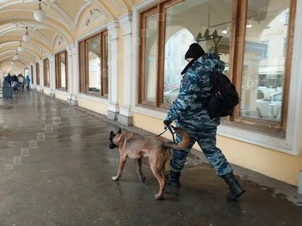 Питер заминировали