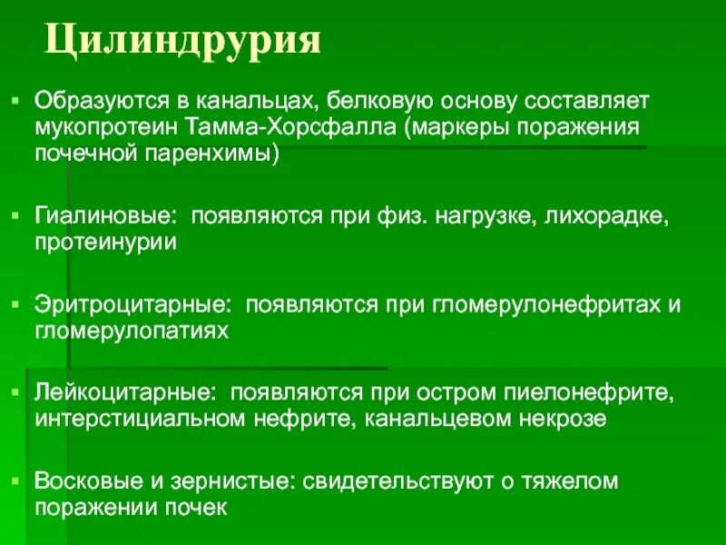 Протеинурия гематурия лейкоцитурия. Цилиндрурия при остром пиелонефрите. Цилиндрурия при пиелонефрите или гломерулонефрите. Цилиндрурия при гломерулонефрите. Цилиндрурия почечный эпителий протеинурия диагноз.