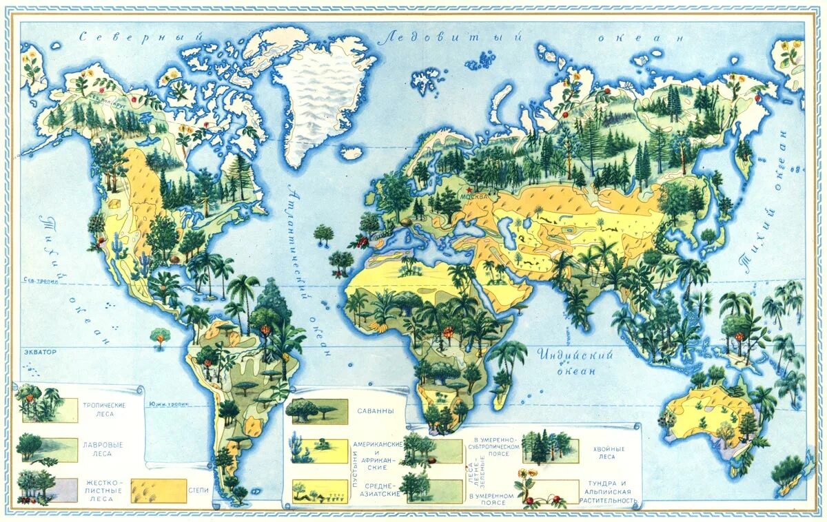 Растительная карта россии. Карта растительности Евразии. Животный и растительный мир России географическая карта для детей. Карта распространения растений.