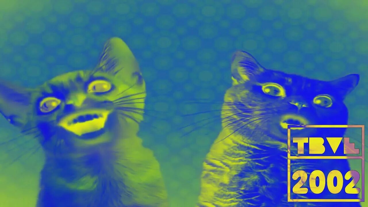 Preview 2 numa cat effects. Нума кат. preview 2 numa cat effects (sponsored by preview 1982 effects). preview 2 numa cat effects effects.