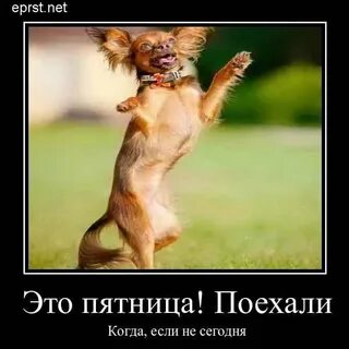 Видео пятницу с работы