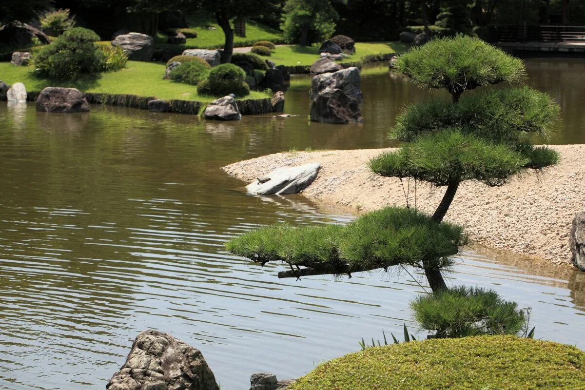 Японский пруд. Кагосима японский садик. Пруд в японском стиле. Прудик в японском стиле.