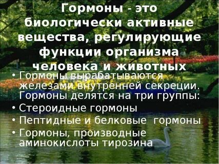 Гормоны животных