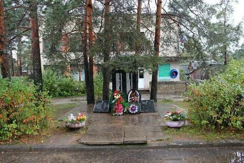 Погода янега