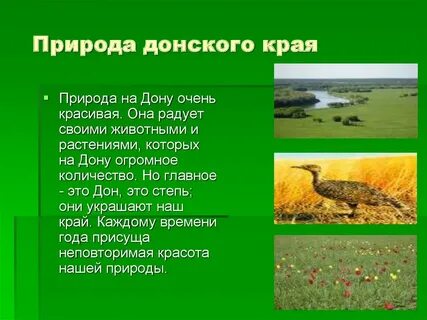Ростовская область окружающий мир 3 класс