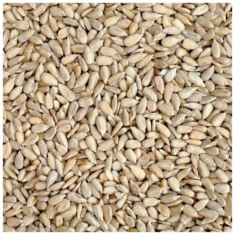 Машина для очистки семечек от шелухи. Отходы подсолнечника. Очистка семян подсолнечника. Очистка семечек от шелухи. Очистка семян.