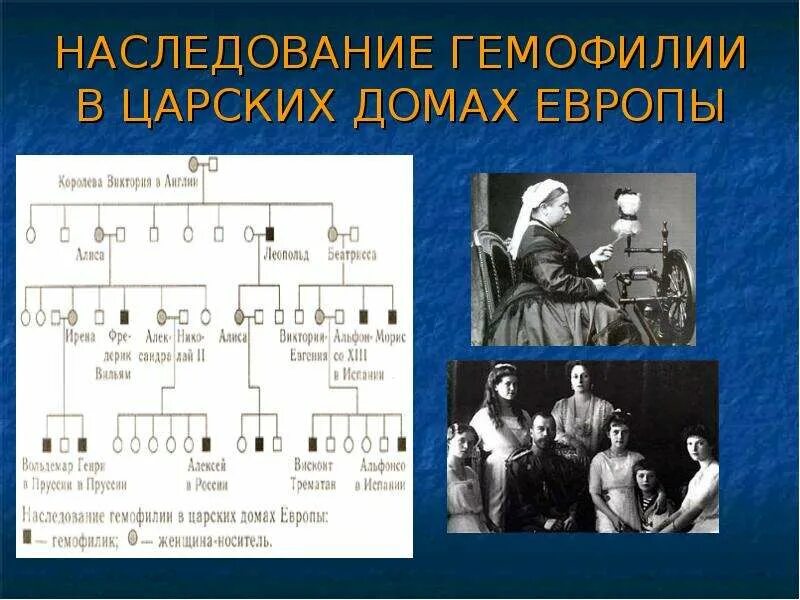 Дети больные гемофилией. Гемофилия генетика Тип наследования. Тип наследования болезни гемофилии. Гемофилия б Тип наследования. Гемофилия Тип наследования аутосомно.