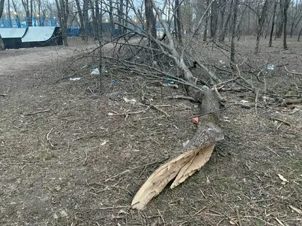 Запущенная территория