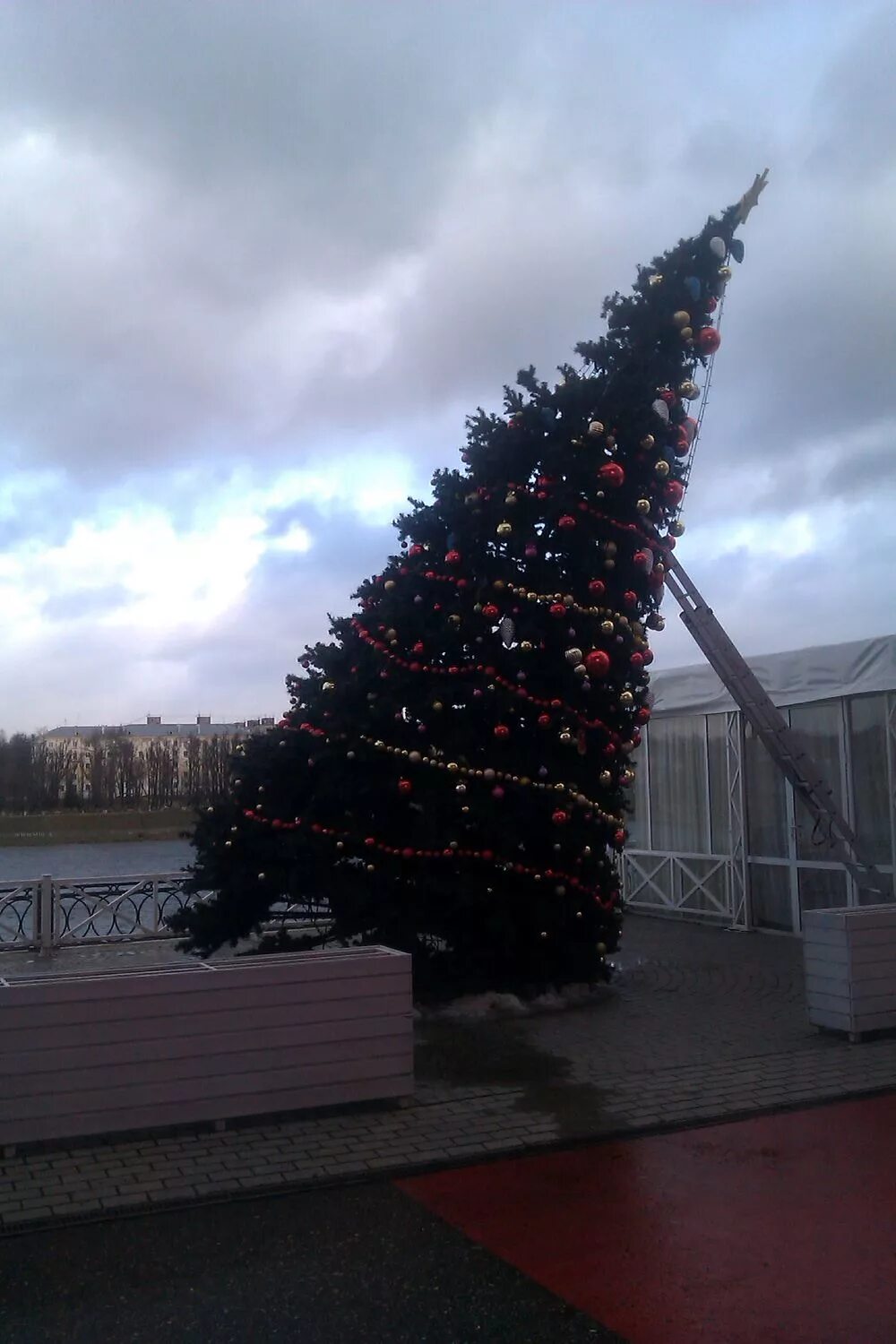 на новый год упала елка. елка упала. ёлка в ростове на дону 2022 упала. елка в ростове 2022 сейчас. на новый год упала елка.