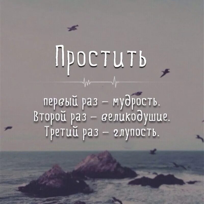 Еще раз в свет 89 вк. Простить один раз мудрость второй раз великодушие.